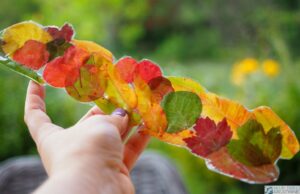 zakladka do ksiazki pomysly 12