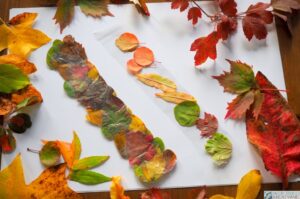 zakladka do ksiazki pomysly 5