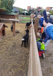 MicrosoftTeams image 11