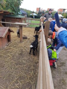 MicrosoftTeams image 13 1