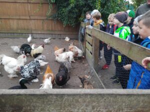 MicrosoftTeams image 14