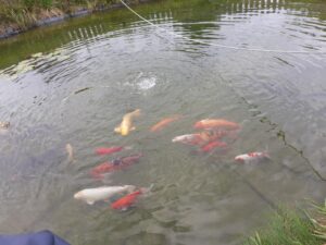 MicrosoftTeams image 8