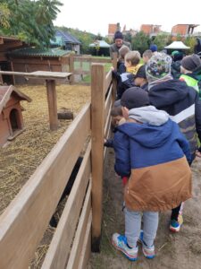 MicrosoftTeams image 9