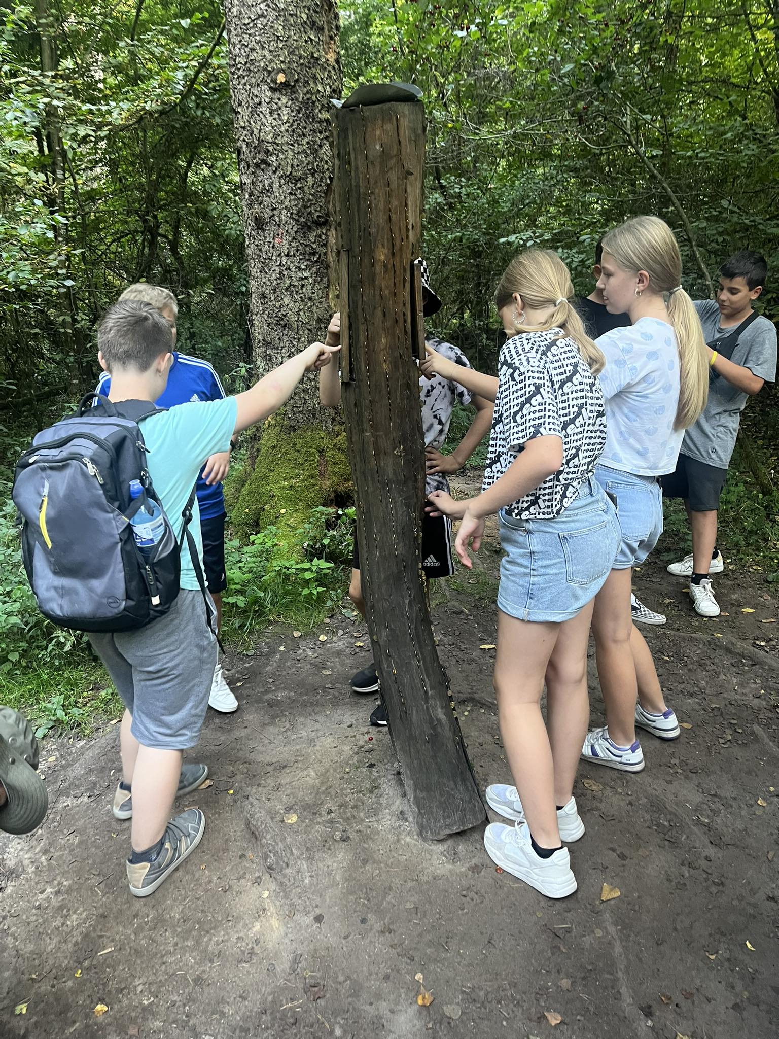 378114494 839825437847386 3894940364960358807 n